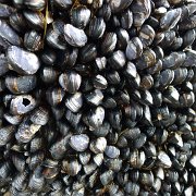 CoastCamp 124 : CoastCamp